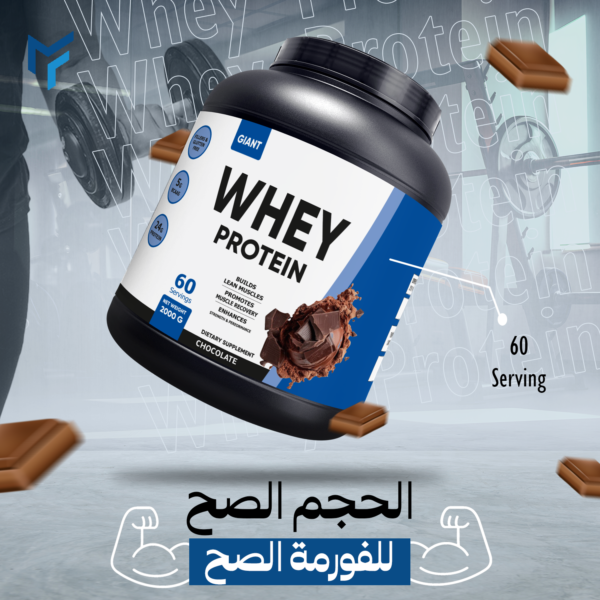 Whey protein muscle force 60ser