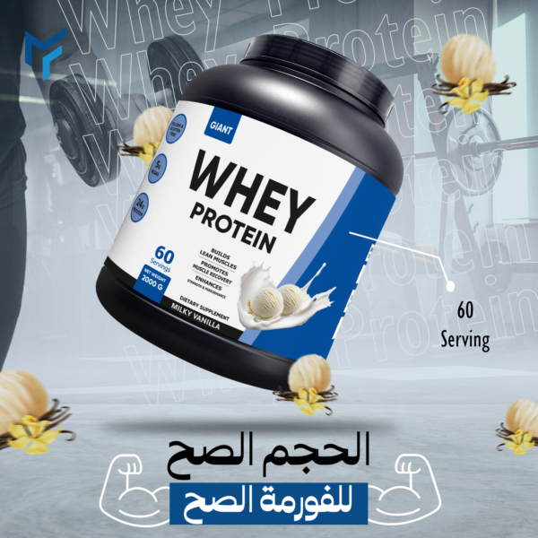 Whey protein muscle force 60ser