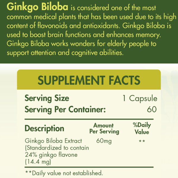 Organic Nation Ginkgo Biloba 60MG-60Serv.-60Tablets